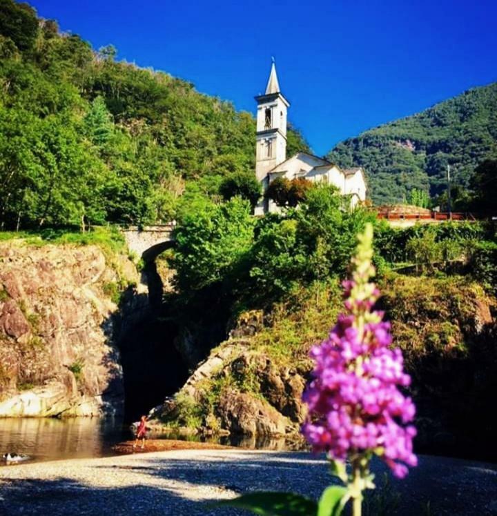 Antico Sempione Glicine Apartamento Cannobio Exterior foto